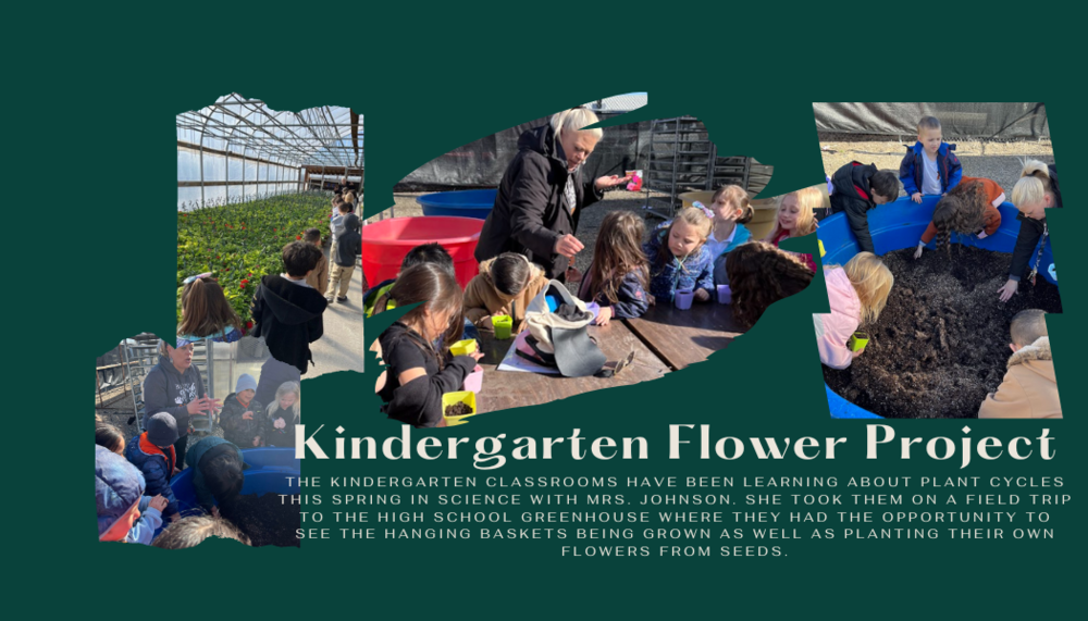 Kindergarten Flower Project