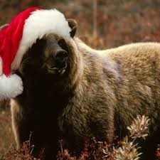 bear with santa hat